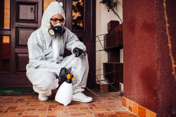 Reliable Fumigation Services contractor in Eldorado, TX by Nex Pest Control