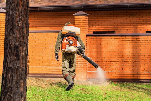 Trusted Ant Control service in Eldorado, TX - Nex Pest Control